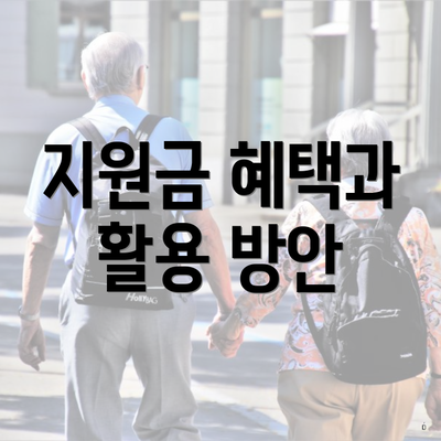 지원금 혜택과 활용 방안