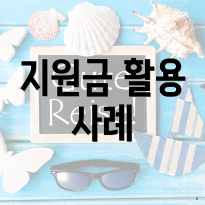 지원금 활용 사례