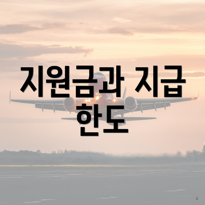 지원금과 지급 한도