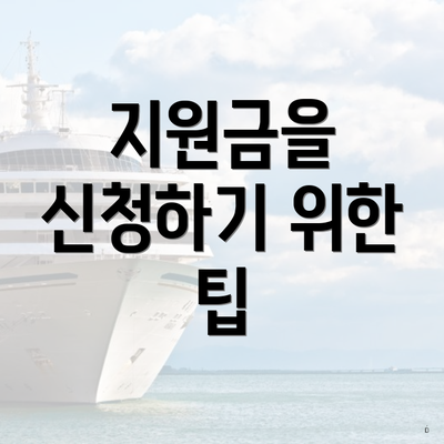지원금을 신청하기 위한 팁