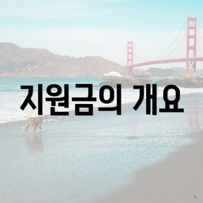 지원금의 개요