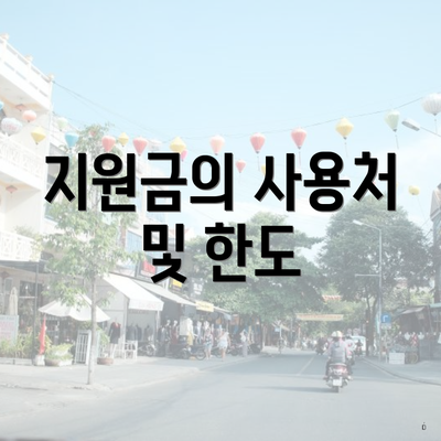 지원금의 사용처 및 한도