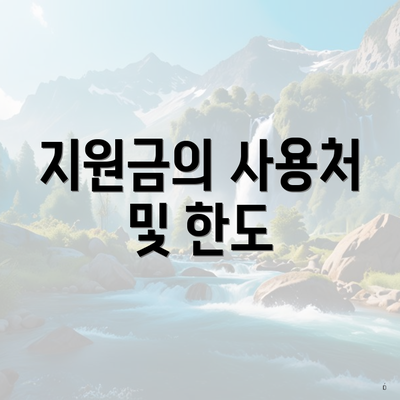 지원금의 사용처 및 한도