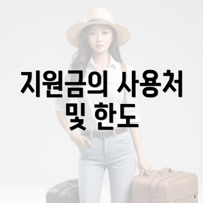 지원금의 사용처 및 한도