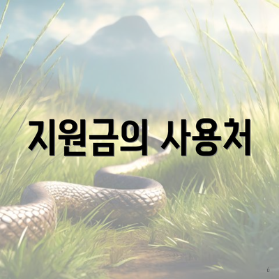 지원금의 사용처