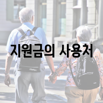 지원금의 사용처