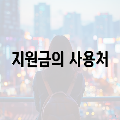 지원금의 사용처