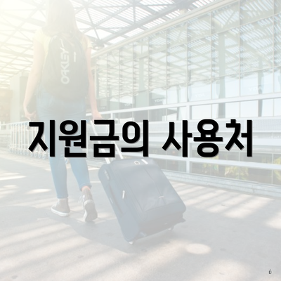 지원금의 사용처