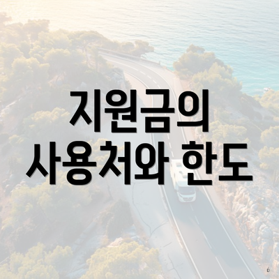 지원금의 사용처와 한도