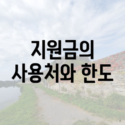 지원금의 사용처와 한도