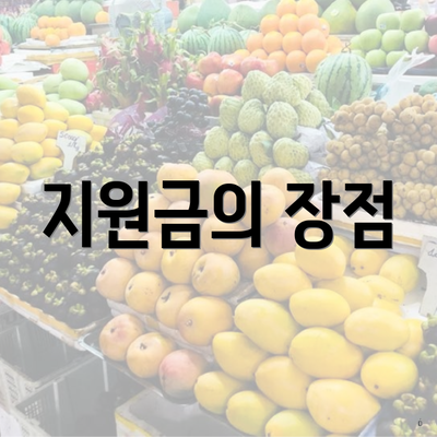 지원금의 장점