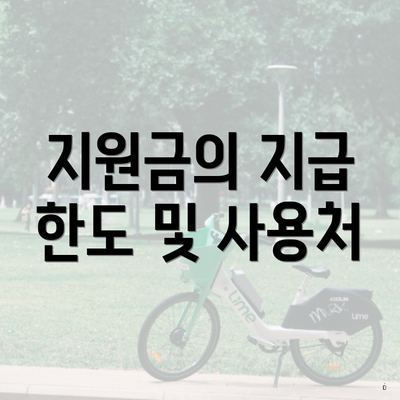 지원금의 지급 한도 및 사용처