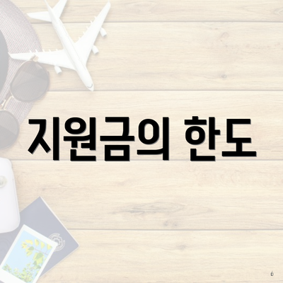 지원금의 한도
