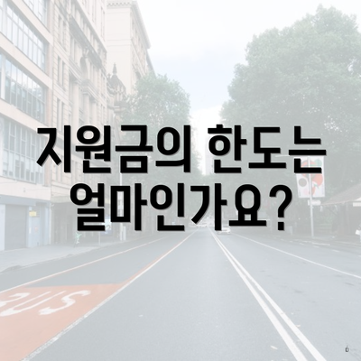 지원금의 한도는 얼마인가요?