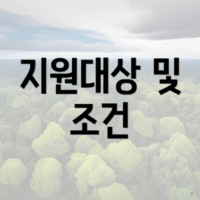 지원대상 및 조건