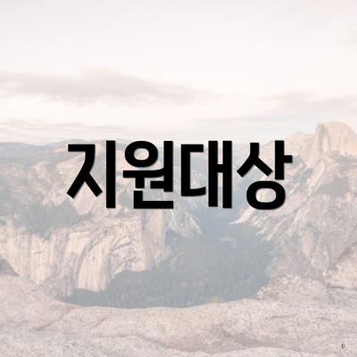 지원대상
