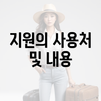 지원의 사용처 및 내용