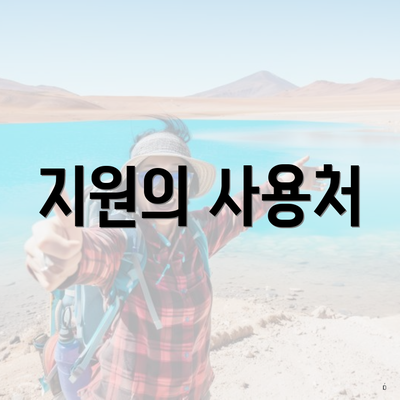 지원의 사용처