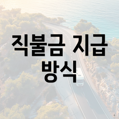 직불금 지급 방식