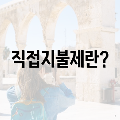 직접지불제란?