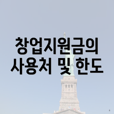 창업지원금의 사용처 및 한도