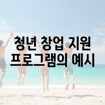 청년 창업 지원 프로그램의 예시