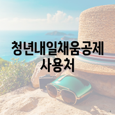 청년내일채움공제 사용처