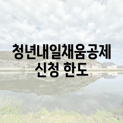 청년내일채움공제 신청 한도