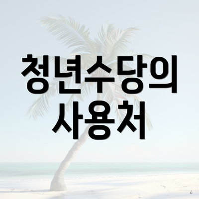 청년수당의 사용처