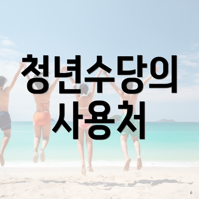 청년수당의 사용처
