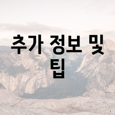 추가 정보 및 팁