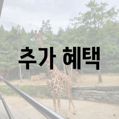 추가 혜택