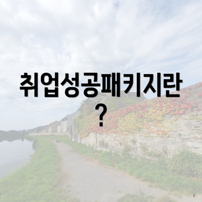 취업성공패키지란?