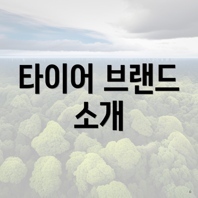 타이어 브랜드 소개