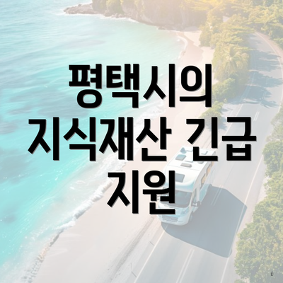 평택시의 지식재산 긴급 지원