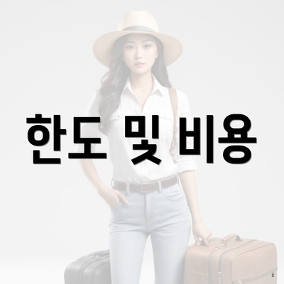 한도 및 비용