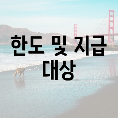 한도 및 지급 대상