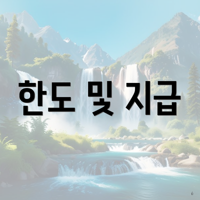 한도 및 지급