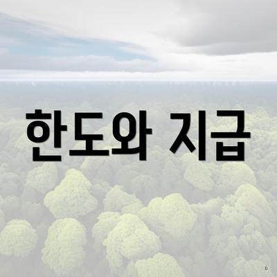 한도와 지급