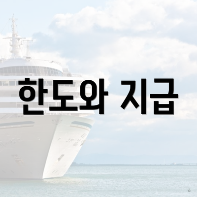 한도와 지급