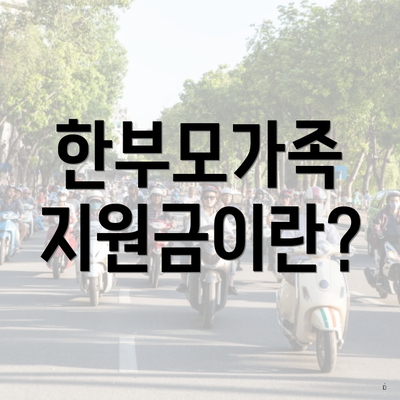 한부모가족 지원금이란?