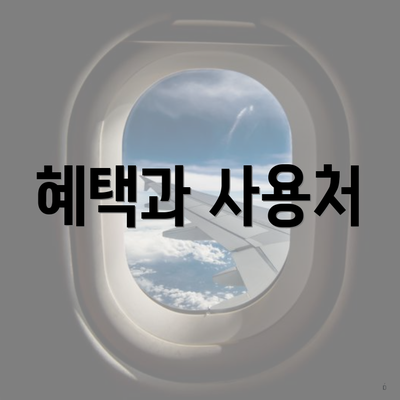 혜택과 사용처