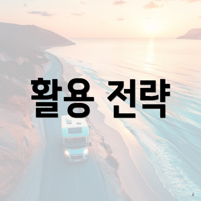 활용 전략