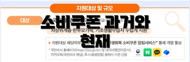소비쿠폰 과거와 현재