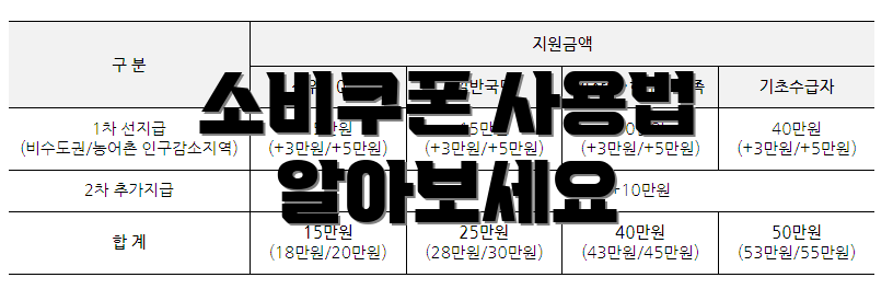 소비쿠폰 사용법 알아보세요