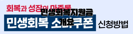 민생회복지원금 개요