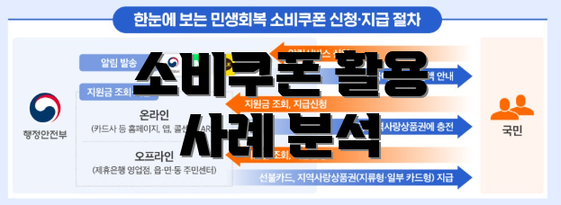 소비쿠폰 활용 사례 분석