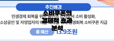 소비쿠폰의 경제적 효과 분석