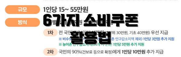 6가지 소비쿠폰 활용법