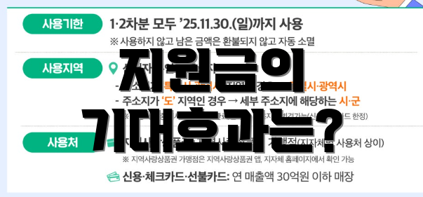지원금의 기대효과는?